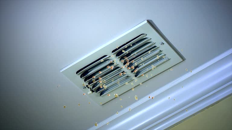 Best Home Air Vent Cleaning  in East Peoria, IL